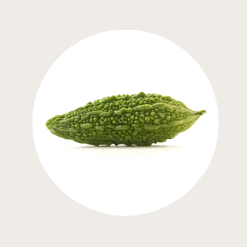 Bitter Melon